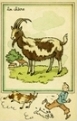 Tintin et Milou « La chèvre »