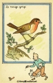 Tintin et Milou « Le rouge gorge »